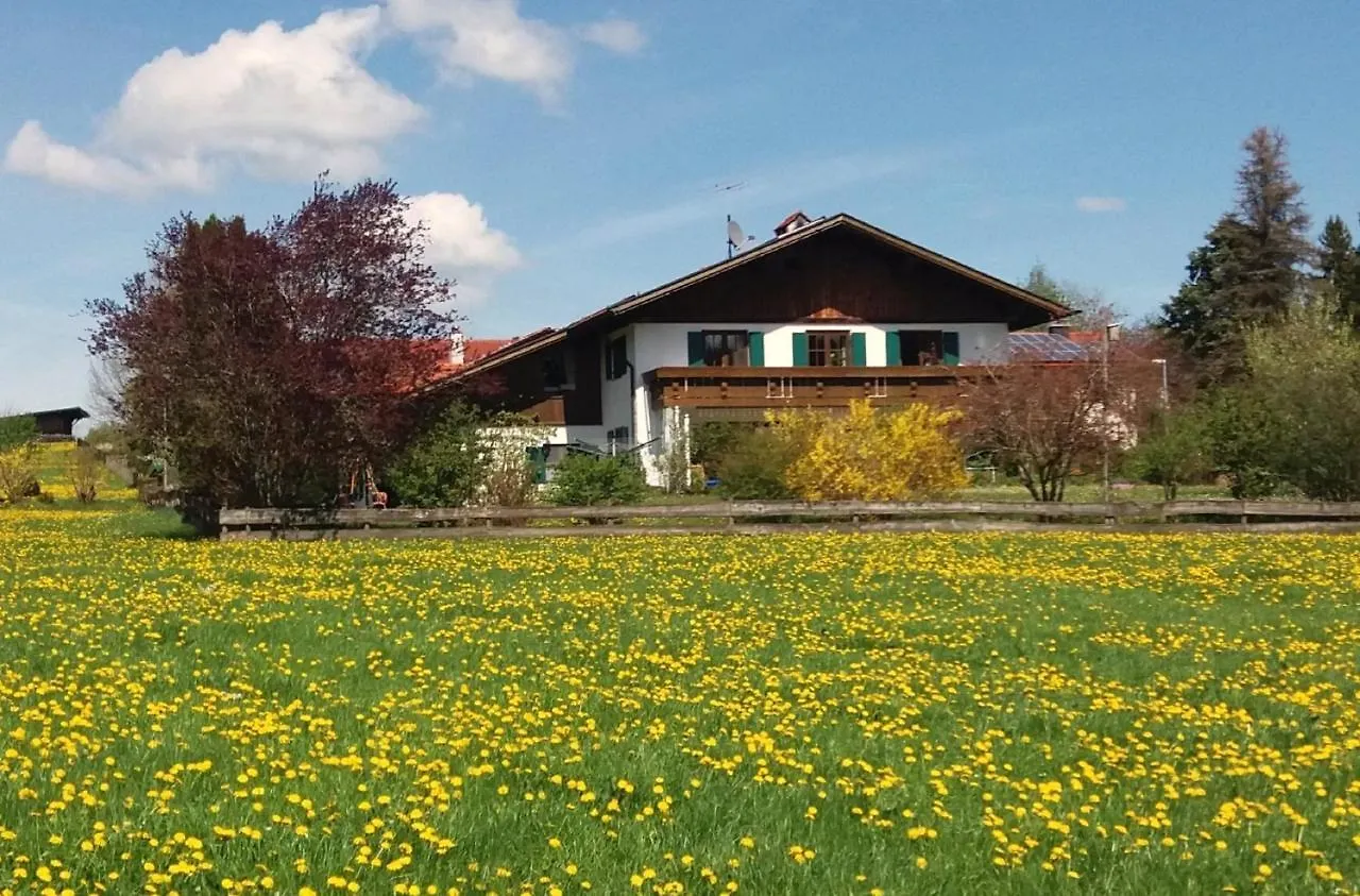 Apartment Ferienhaus 